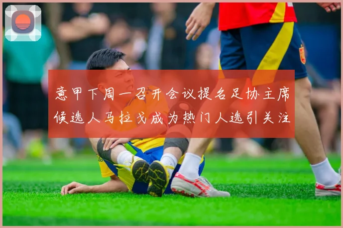 意甲下周一召开会议提名足协主席候选人马拉戈成为热门人选引关注